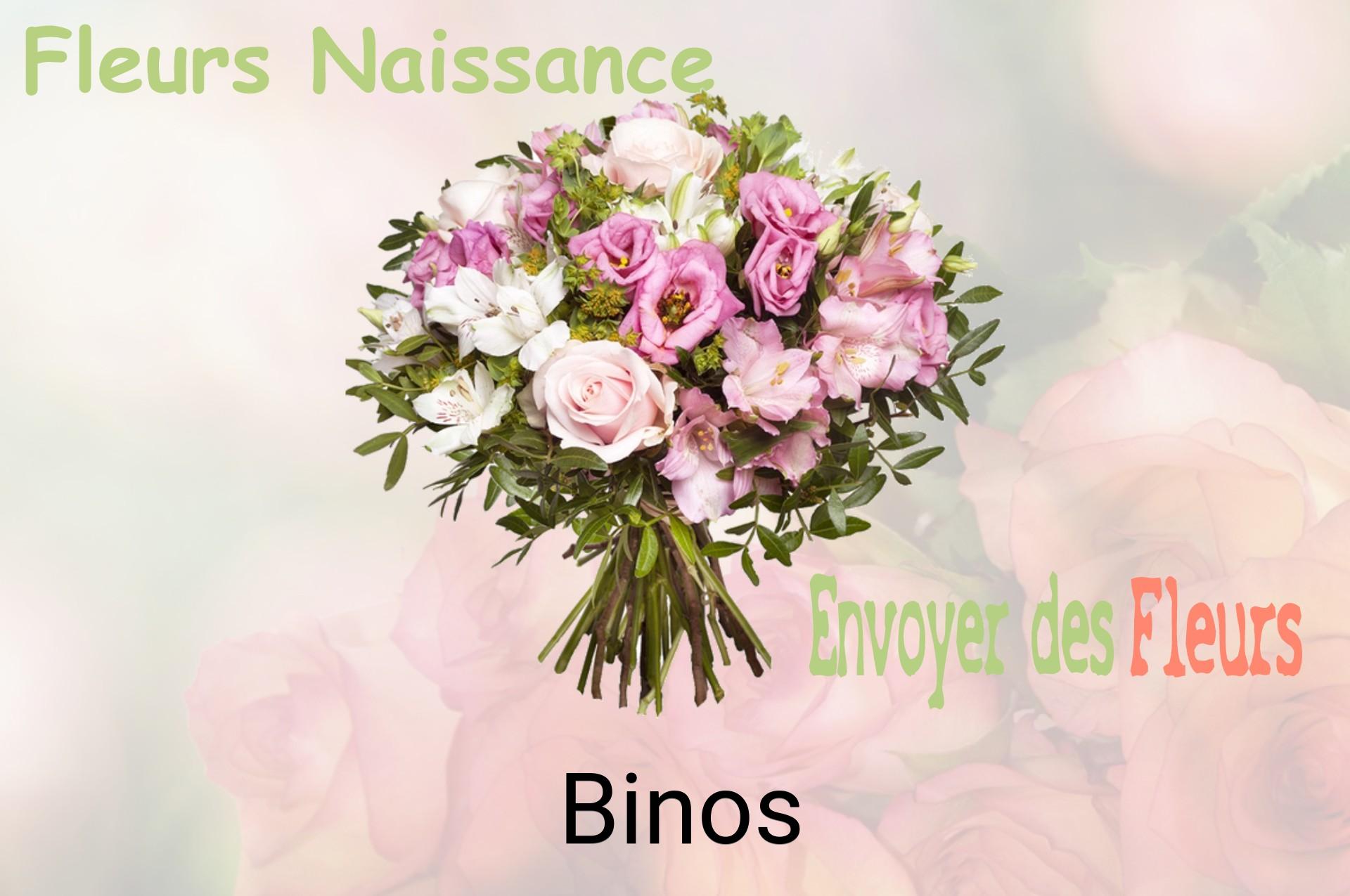 Bouquet de fleurs de naissance livré à Binos