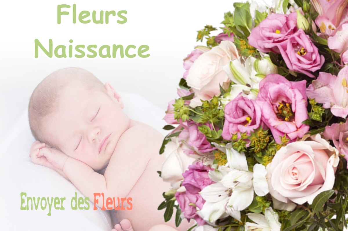 lIVRAISON FLEURS NAISSANCE à BINOS